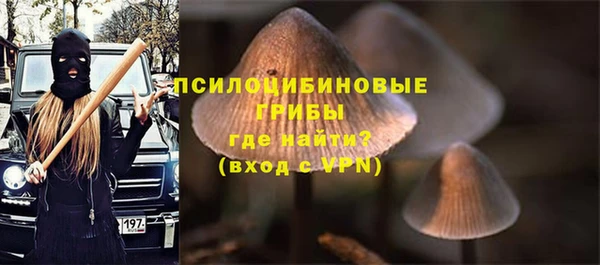 индика Абинск