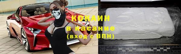 индика Абинск