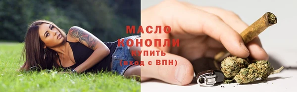 индика Абинск