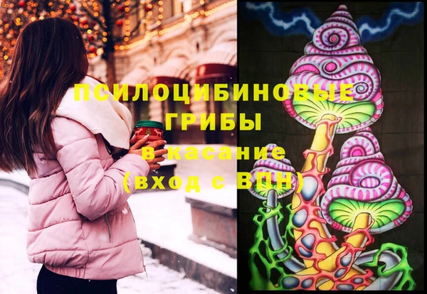 бошки Алексин