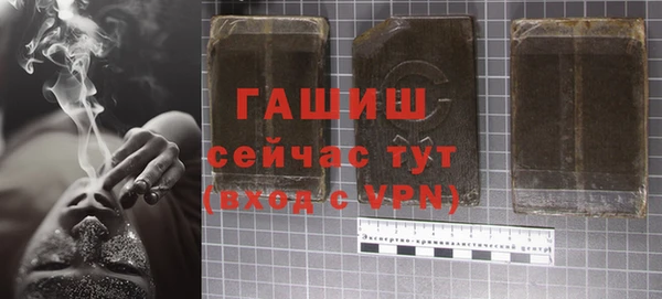 индика Абинск