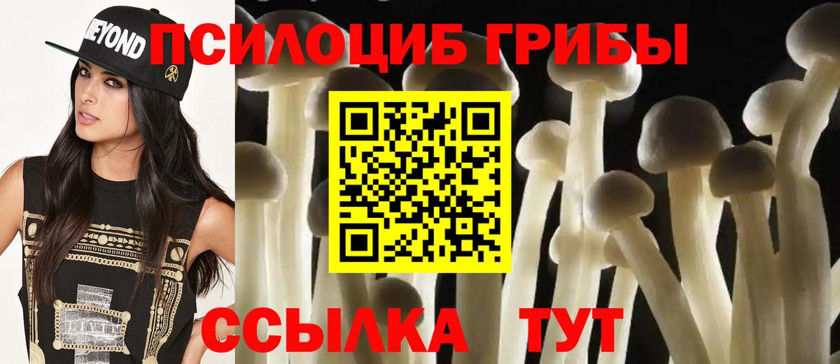 Галлюциногенные грибы GOLDEN TEACHER  Псилоцибиновые грибы GOLDEN TEACHER  Лабытнанги  Вход с VPN 