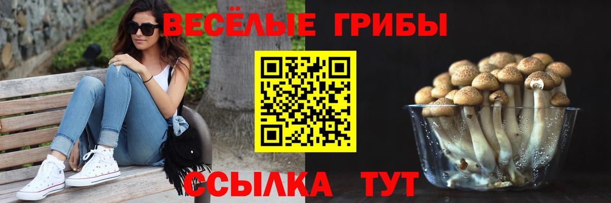 Галлюциногенные грибы Cubensis Лабытнанги
